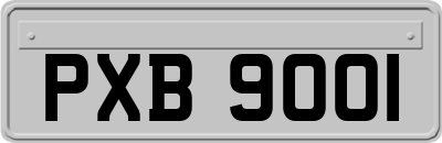 PXB9001