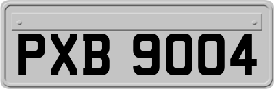 PXB9004