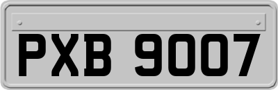 PXB9007