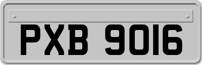 PXB9016