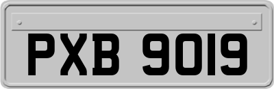 PXB9019