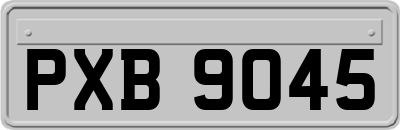 PXB9045