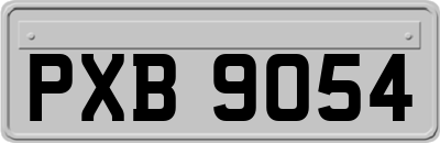 PXB9054