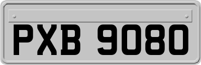 PXB9080