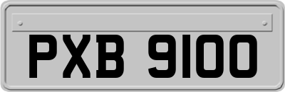 PXB9100