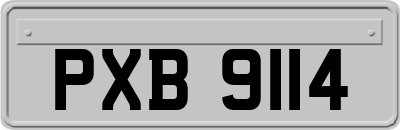 PXB9114