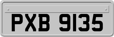 PXB9135