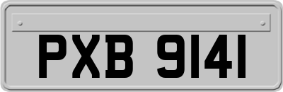 PXB9141