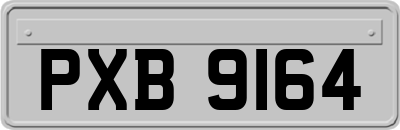 PXB9164