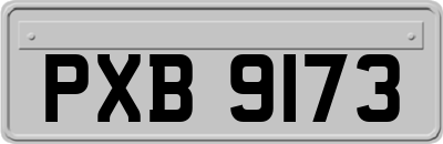 PXB9173