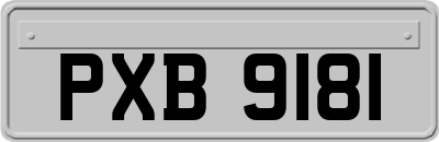 PXB9181