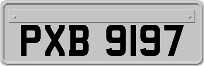 PXB9197