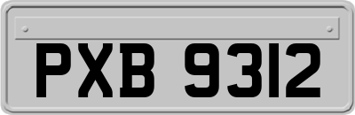 PXB9312