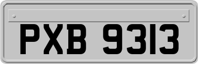 PXB9313