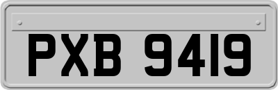 PXB9419