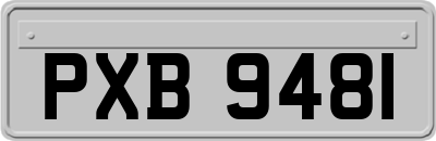 PXB9481