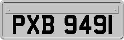 PXB9491