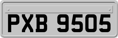 PXB9505