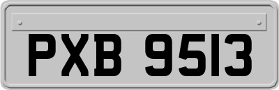 PXB9513