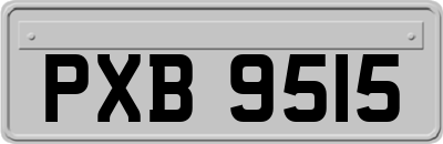 PXB9515