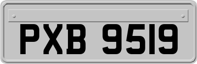 PXB9519