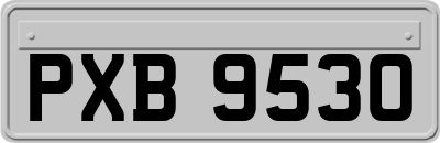 PXB9530