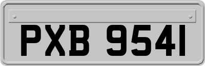 PXB9541