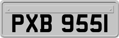 PXB9551