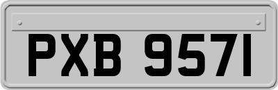 PXB9571