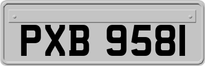 PXB9581