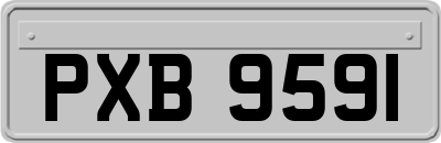 PXB9591