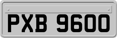 PXB9600