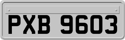 PXB9603