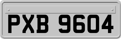 PXB9604