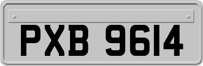 PXB9614