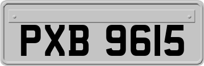 PXB9615