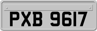 PXB9617