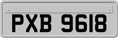 PXB9618