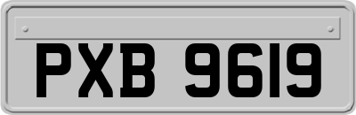 PXB9619