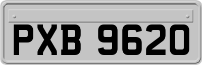 PXB9620