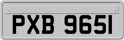 PXB9651