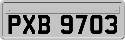 PXB9703