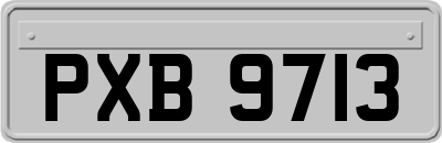 PXB9713