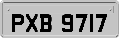 PXB9717