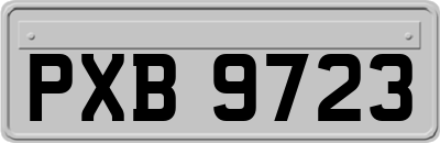 PXB9723