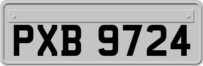 PXB9724