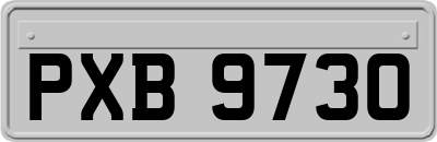 PXB9730