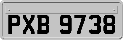 PXB9738