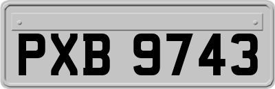 PXB9743