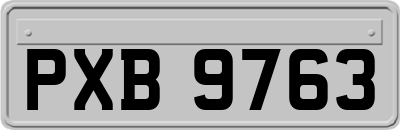 PXB9763